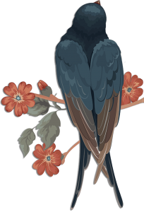 Swallow PNG-67315
